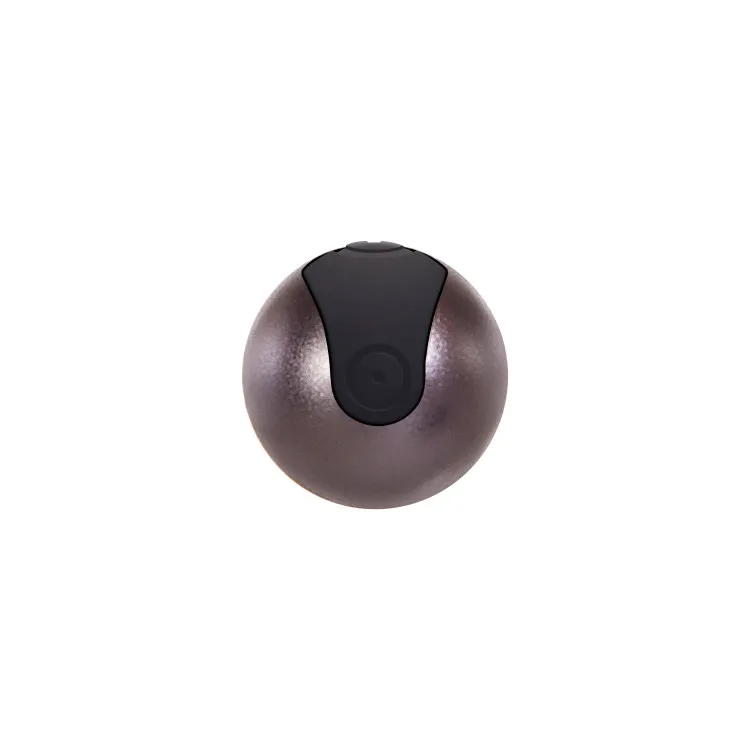 Metal Bullet Vibrator with Travel Case Gunmetal