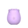In Bloom Rosales Sucking Rose Clit Vibrator In Bloom Rosales Sucking Rose Clit Vibrator