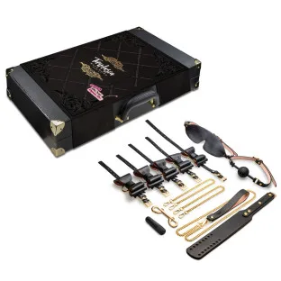 Temptasia Safe Word 10-Piece Bondage Kit
