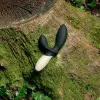 LELO LOKI Wave 2 Dual Stimulation Prostate Vibrator Black LELO LOKI Wave 2 Dual Stimulation Prostate Vibrator Black