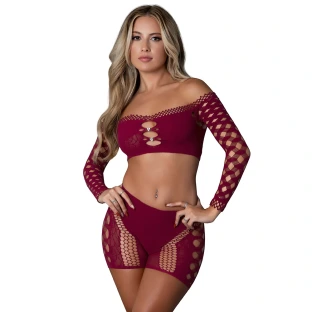 Magic Silk Seamless Crop Top & Short Set Burgundy