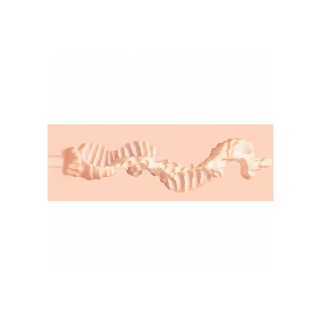 Xkin Raw Pure Stretch Realistic Pocket Pussy
