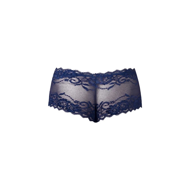 Male Power Sassy Lace Mini Short Sheer Pouch Navy