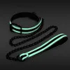GLO Bondage Collar and Leash Green GLO Bondage Collar and Leash Green