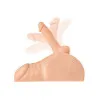 Perfect Ride Anal Masturbator with 6 in. Posable Dildo Beige Perfect Ride Anal Masturbator with 6 in. Posable Dildo Beige
