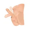 Perfect Ride Anal Masturbator with 6 in. Posable Dildo Beige Perfect Ride Anal Masturbator with 6 in. Posable Dildo Beige