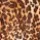 Animal Print 