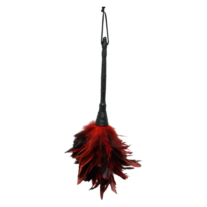 Frisky Feather Duster Red