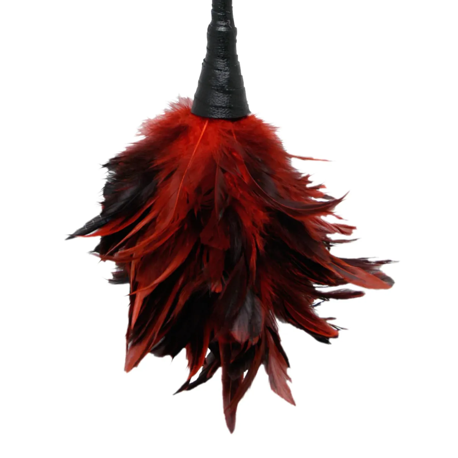 Frisky Feather Duster Red