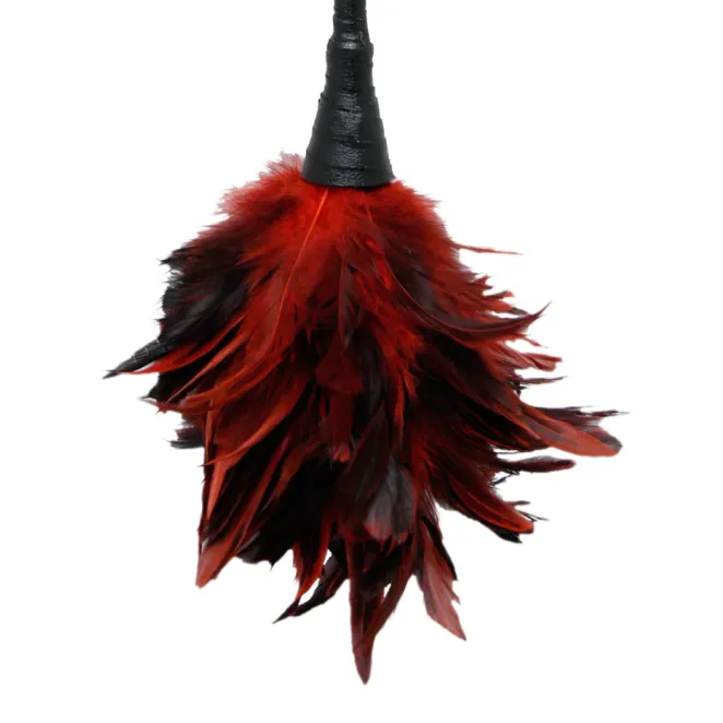 Frisky Feather Duster Red