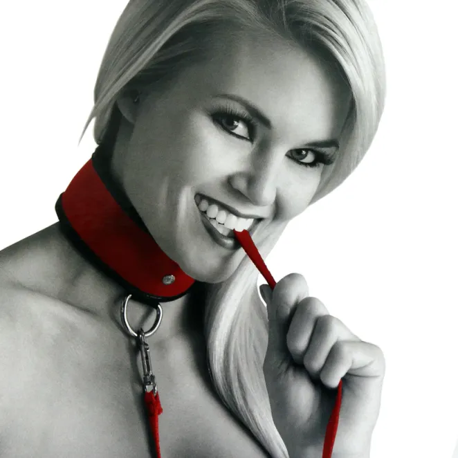 Adjustable Leash & Collar Red