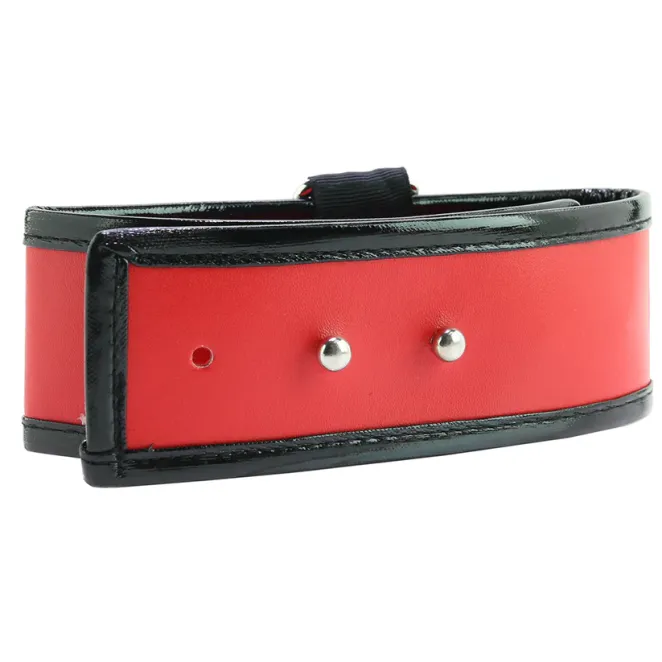 Adjustable Leash & Collar Red