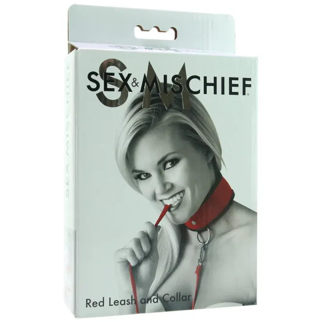 Adjustable Leash & Collar Red