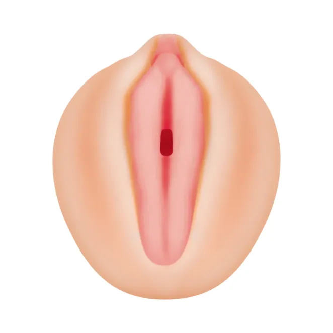 Alexis Texas Pocket Pussy