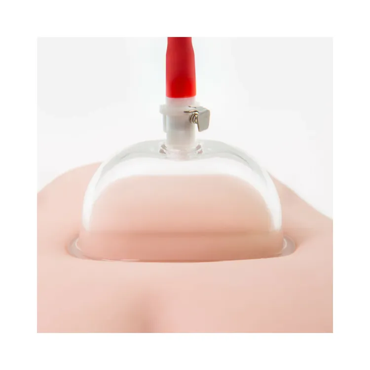 Temptasia Intense Pussy Pump System Temptasia Intense Pussy Pump System