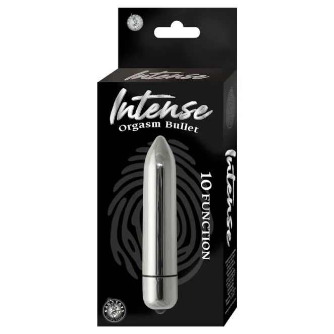 Magic Bullet 10 Function Silver Bullet Vibrator