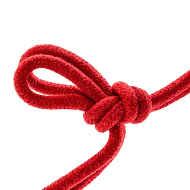 Temptasia Bondage Rope 32 ft. Red
