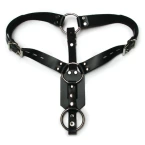 Cock Straps & Harnesses