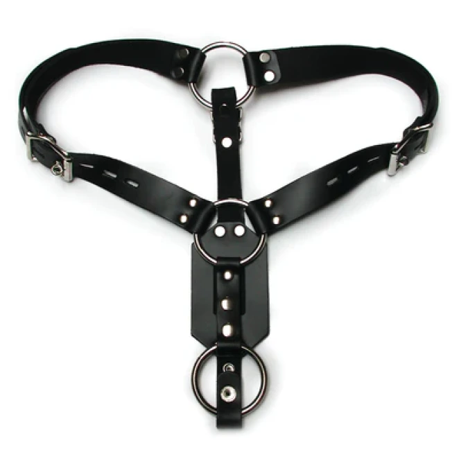 Kinklab Deluxe Leather Anal Plug Harness with Cock Ring