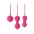 Kegel Exercisers