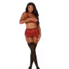 Dreamgirl Fishnet and Lace Four-Piece Set With Stretch Velvet Trim Accents Garnet Dreamgirl Fishnet and Lace Four-Piece Set With Stretch Velvet Trim Accents Garnet