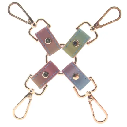 Spectra Bondage Hogtie Rainbow