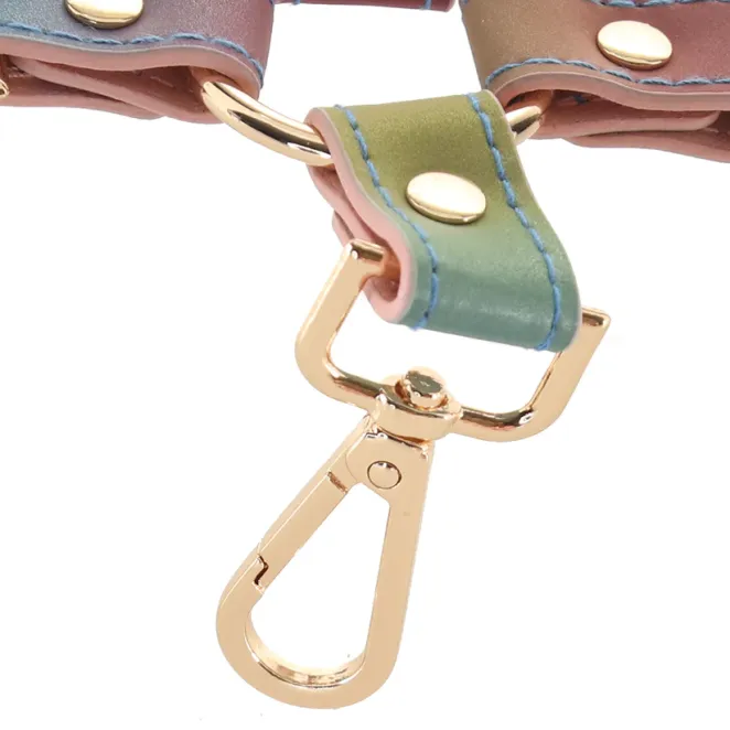 Spectra Bondage Hogtie Rainbow