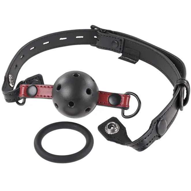 Interchangeable Gag with Adjustable Buckle