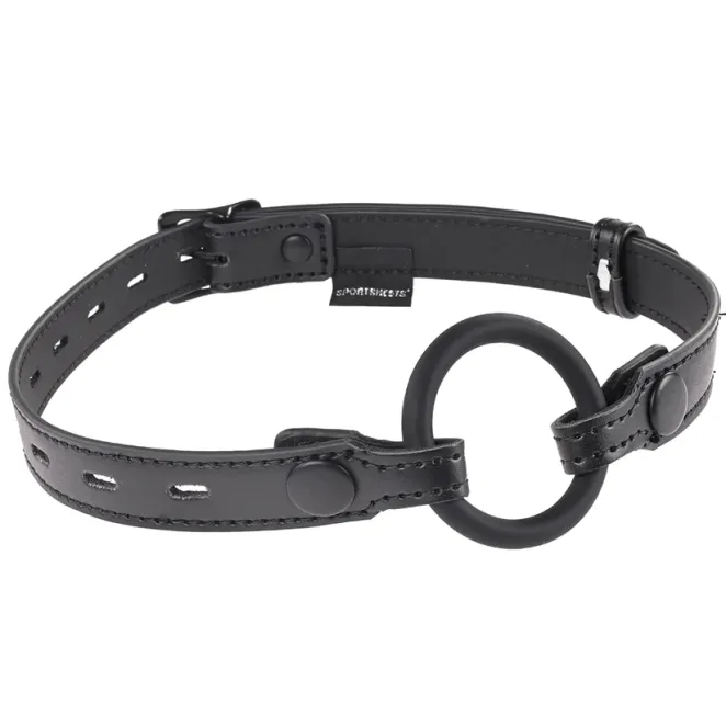 Interchangeable Gag with Adjustable Buckle