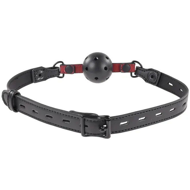 Interchangeable Gag with Adjustable Buckle