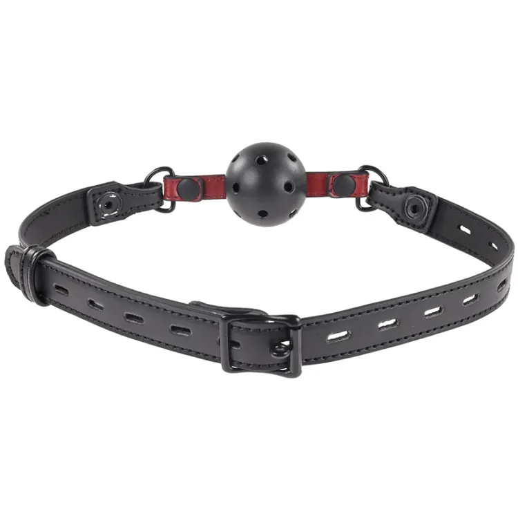 Interchangeable Gag with Adjustable Buckle Interchangeable Gag with Adjustable Buckle