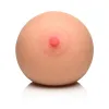 Mistress Pussy Breast Masturbator Mistress Pussy Breast Masturbator