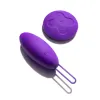 Wellness Imara Vibrating Egg with Remote Purple Wellness Imara Vibrating Egg with Remote Purple
