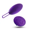 Wellness Imara Vibrating Egg with Remote Purple Wellness Imara Vibrating Egg with Remote Purple