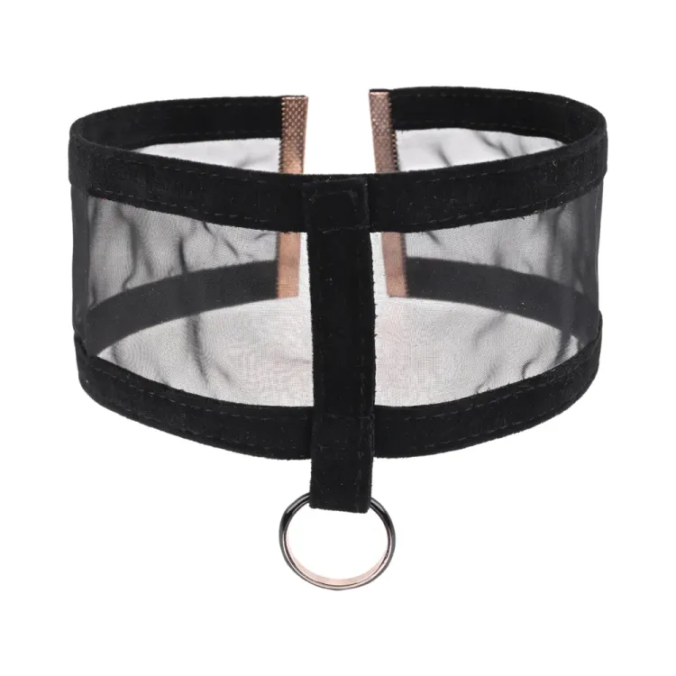 Sheer Day Collar Sheer Day Collar