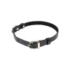 Double Buckle Day Collar Double Buckle Day Collar