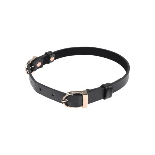 Double Buckle Day Collar