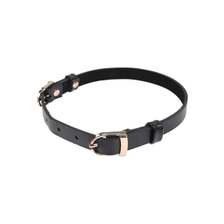 Sportsheets Double Buckle Day Collar