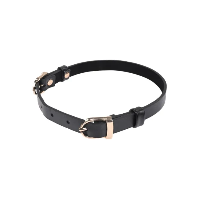 Double Buckle Day Collar