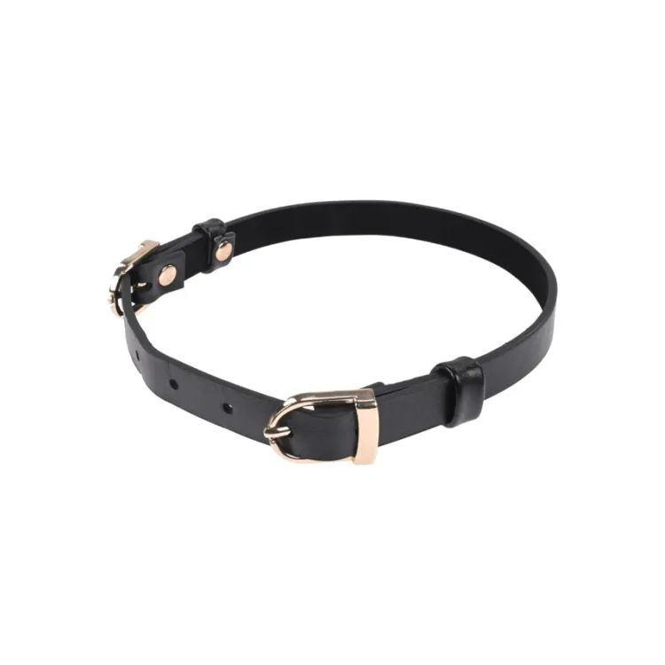 Double Buckle Day Collar Double Buckle Day Collar