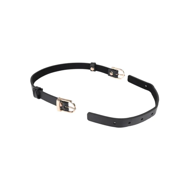 Double Buckle Day Collar