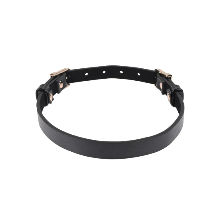 Double Buckle Day Collar Double Buckle Day Collar