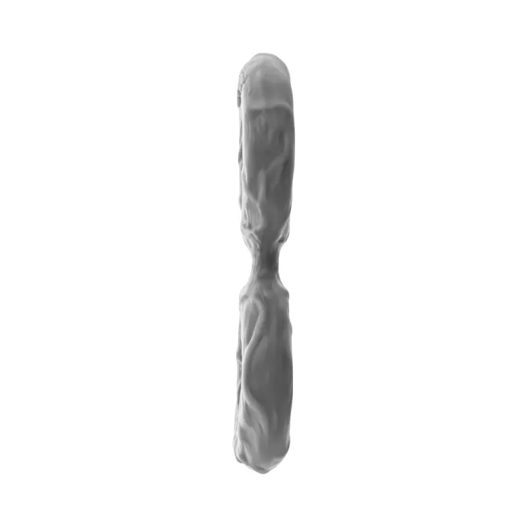 Shaft Model D: Double Cock Ring Grey Size 2 Shaft Model D: Double Cock Ring Grey Size 2