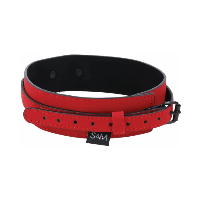 Amor Collar and Leash