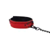 Amor Collar and Leash Amor Collar and Leash
