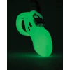 CB-6000 Male Glow In The Dark Chastity Cage Kit
