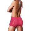 Prowler Lace Trunk Pink Prowler Lace Trunk Pink