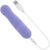 Evolved Purple Soft Feel Bullet Vibrator