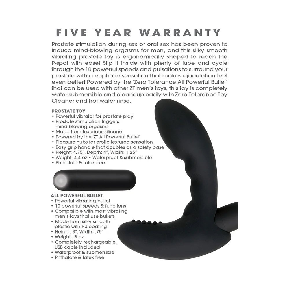Eternal P-Spot Vibrating Prostate Massager