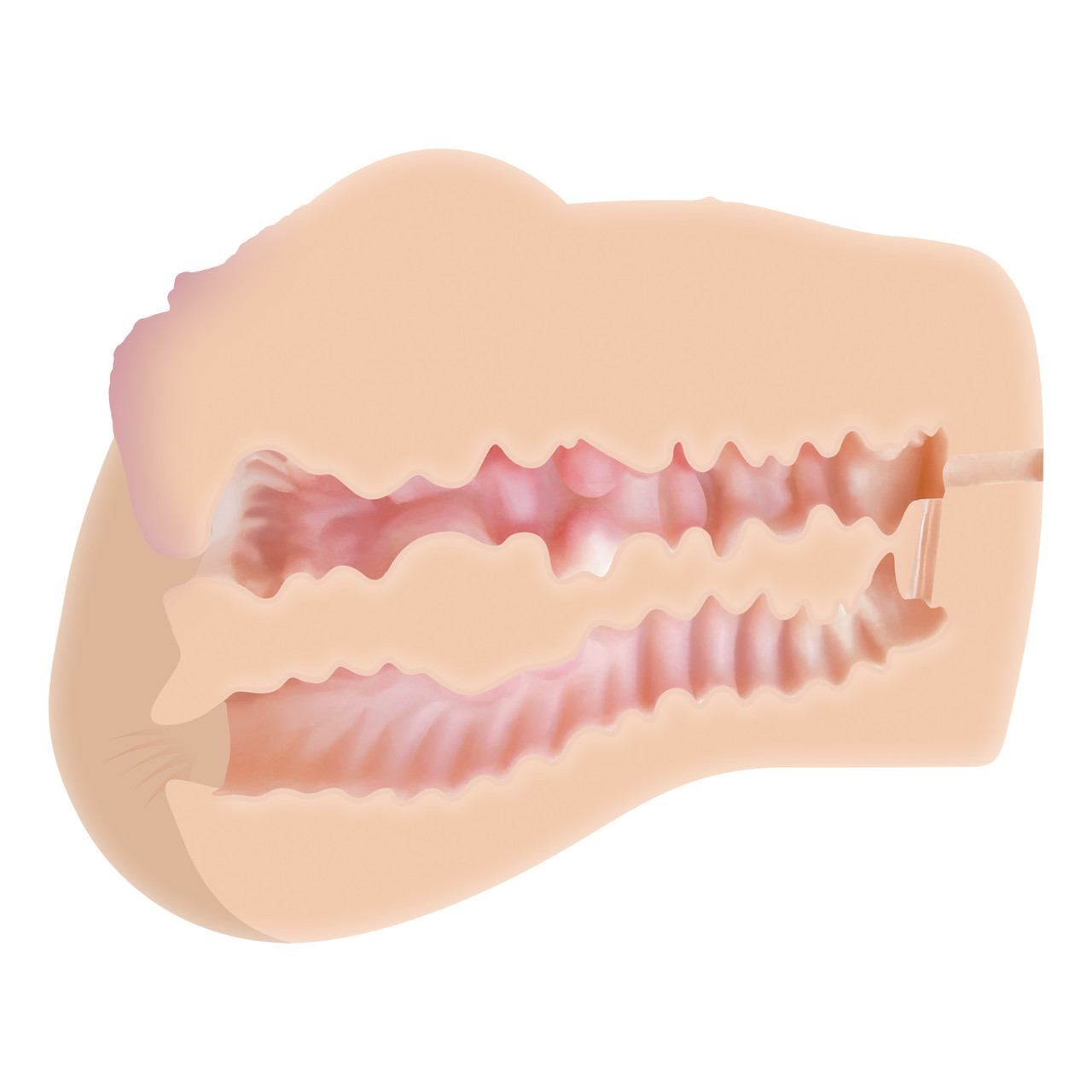 Dani Daniels Realistic Ass & Vagina Stroker